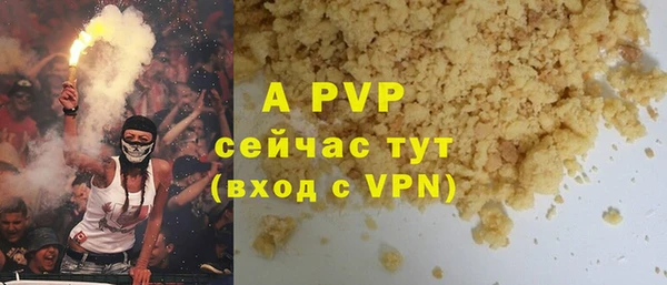 стаф Аркадак