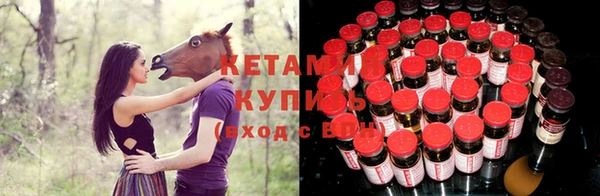 стаф Аркадак