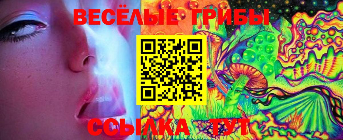 Псилоцибиновые грибы мухоморы Краснотурьинск