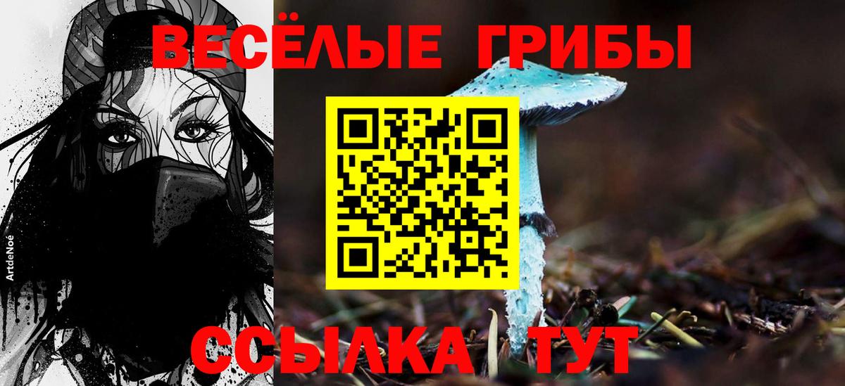Псилоцибиновые грибы Magic Shrooms  Вход с VPN  Краснотурьинск  Галлюциногенные грибы Magic Shrooms 
